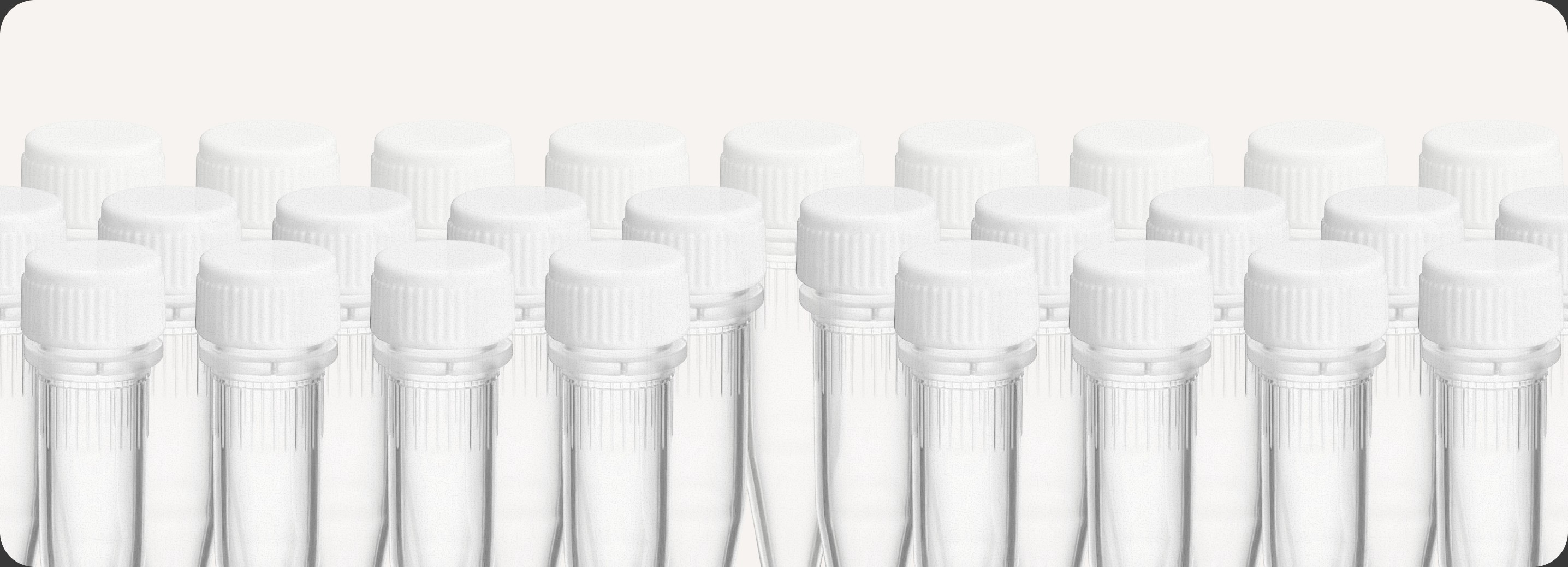 Rows of capped sample vials